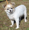Lucy 42902 - Photo 4