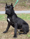 Luna 42924 - Photo 1