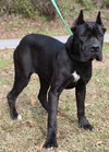 Luna 42924 - Photo 2