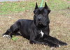 Luna 42924 - Photo 3