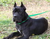Luna 42924 - Photo 4