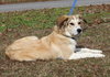 AJ 42945 - Photo 3