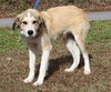 AJ 42945 - Photo 4