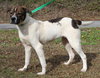 Sandra D 42857 - Photo 1