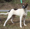 Sandra D 42857 - Photo 3