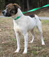 Sandra D 42857 - Photo 4