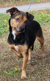 Tinker Bell 42862 - Photo 1