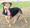 Tinker Bell 42862 - Photo 4