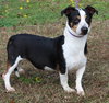 Peter Pan 42973 - Photo 1