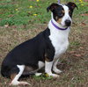 Peter Pan 42973 - Photo 2