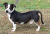 Peter Pan 42973 - Photo 3