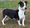Peter Pan 42973 - Photo 4