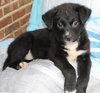Dasher 42906 - Photo 2
