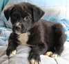 Dasher 42906 - Photo 3