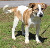 Rudolph 42909 - Photo 1
