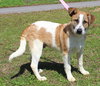 Rudolph 42909 - Photo 2