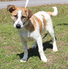 Rudolph 42909 - Photo 4
