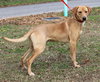 Buddy 42928 - Photo 3