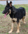 Mocha 42970 - Photo 2