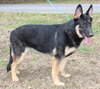 Mocha 42970 - Photo 3