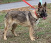 Latte 43011 - Photo 2