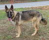 Latte 43011 - Photo 3