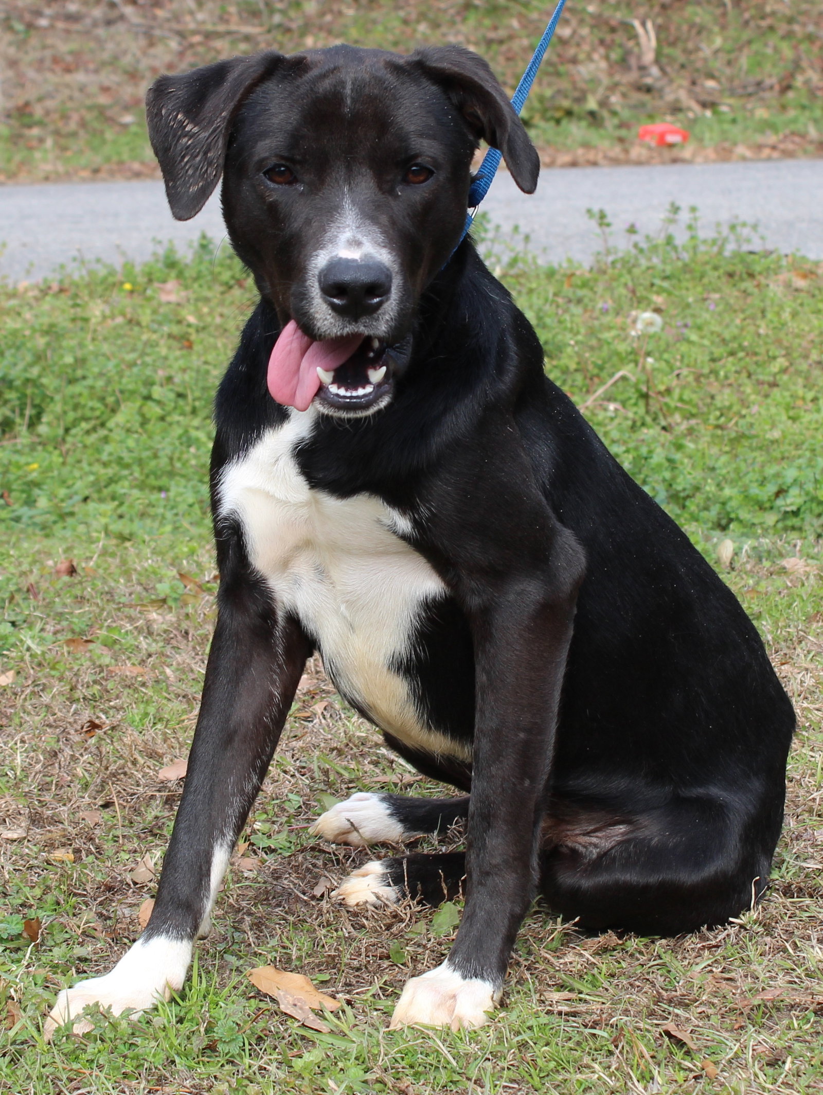 Bailey 43039 Image