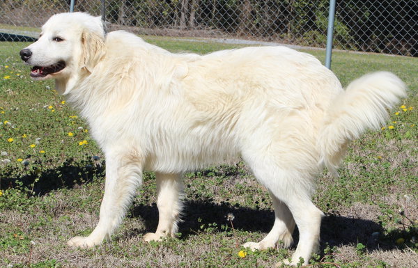Casper 43114