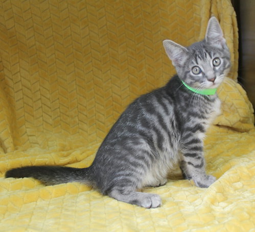 Casper photo 2