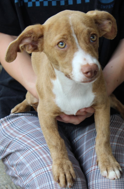 Elsa 43784 photo 2