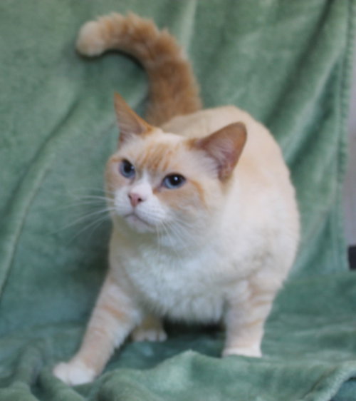 Harriet photo 3