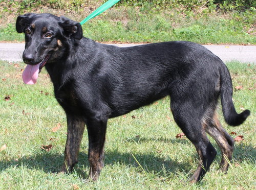 Photo 2 of Alli 44147
