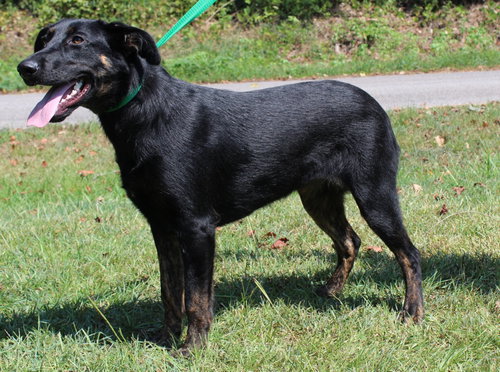 Photo 4 of Alli 44147