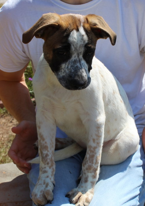 Photo 4 of Chunk 44165