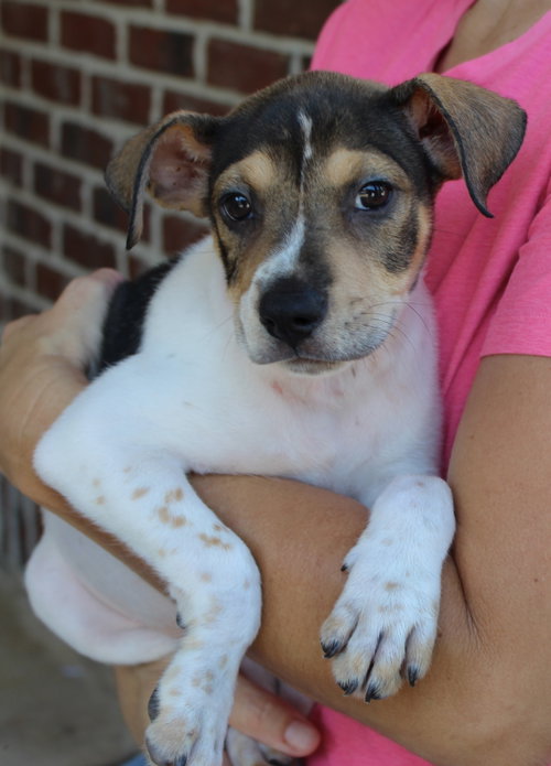 Photo 3 of Elvie 44263