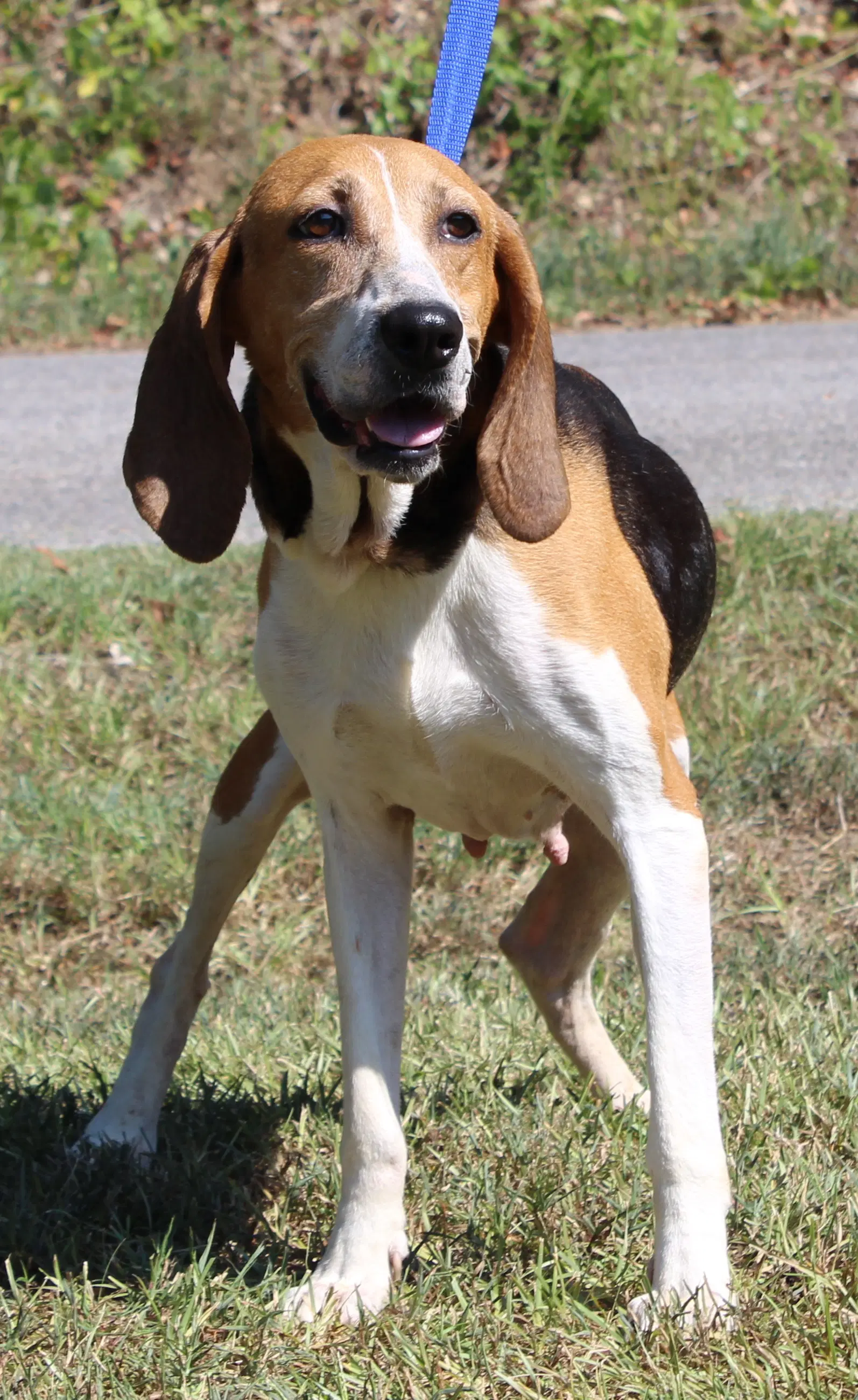 Ruby image 4