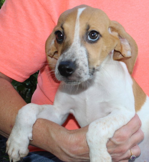 Photo 2 of Pearl 44208
