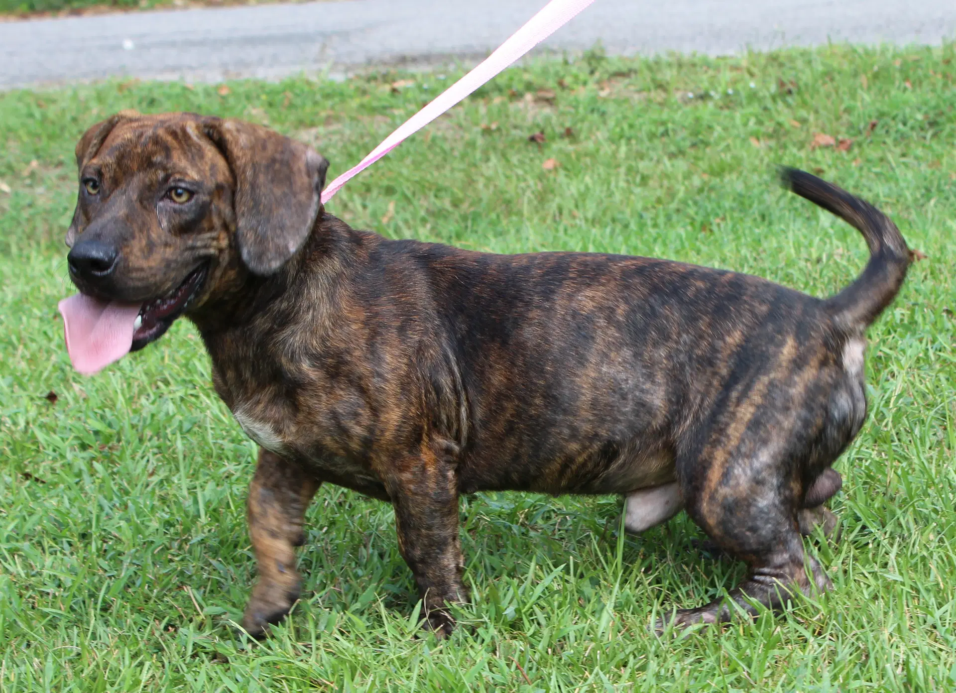 Bane image 2