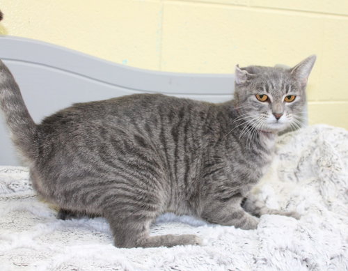 Photo 3 of Ritsy - 44445