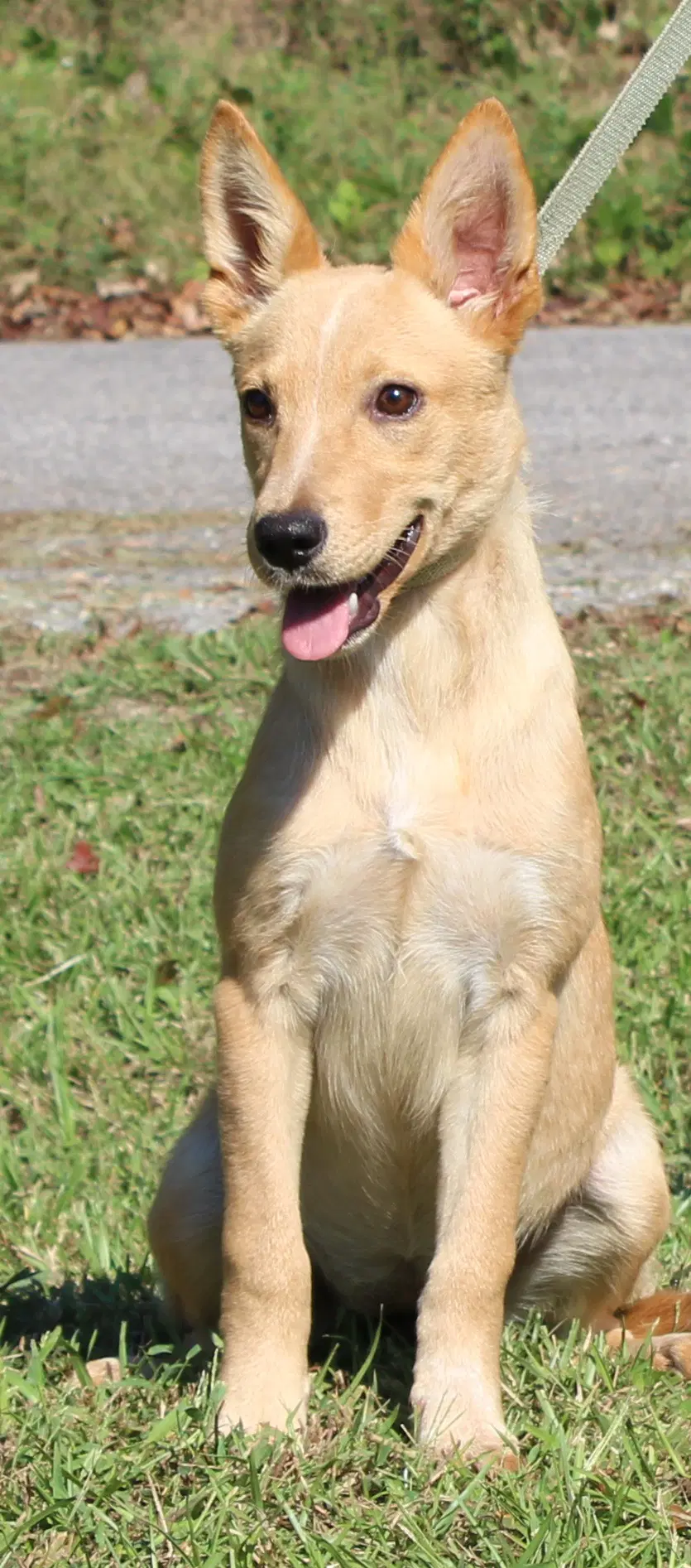 Annie image 3