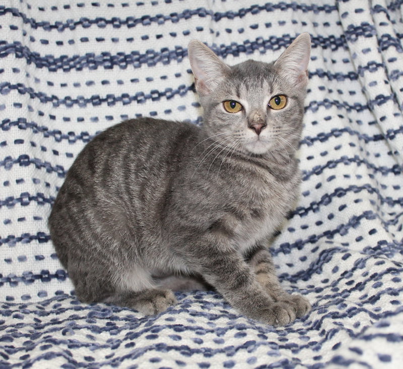 Topaz, photo 2