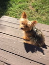 Missy