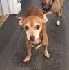 Melba & Zoe