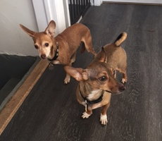 Melba & Zoe