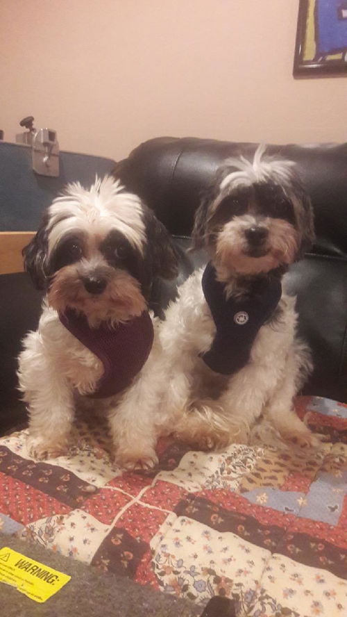 Shakey & Stanley