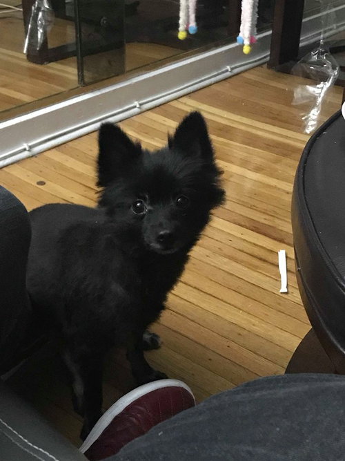 Mia