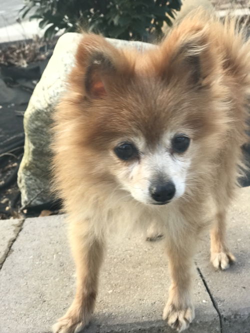 Spike