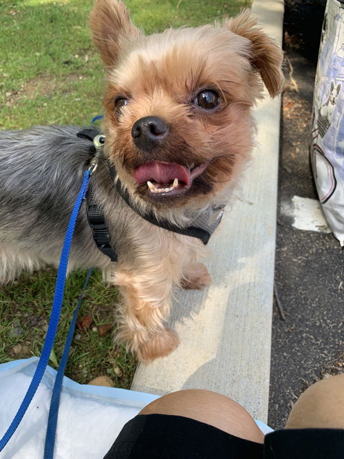 Snax