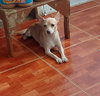 Miss Fanny
