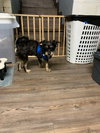 Benny
